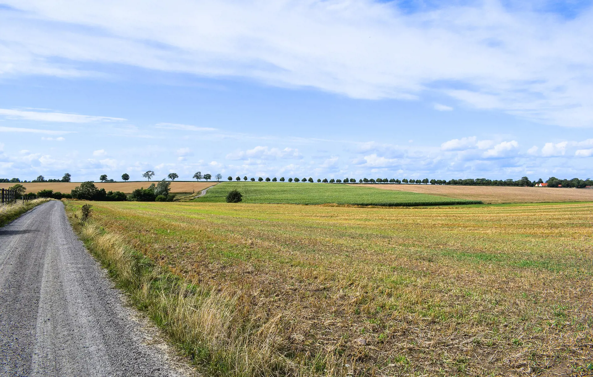 Bild 25 von 26