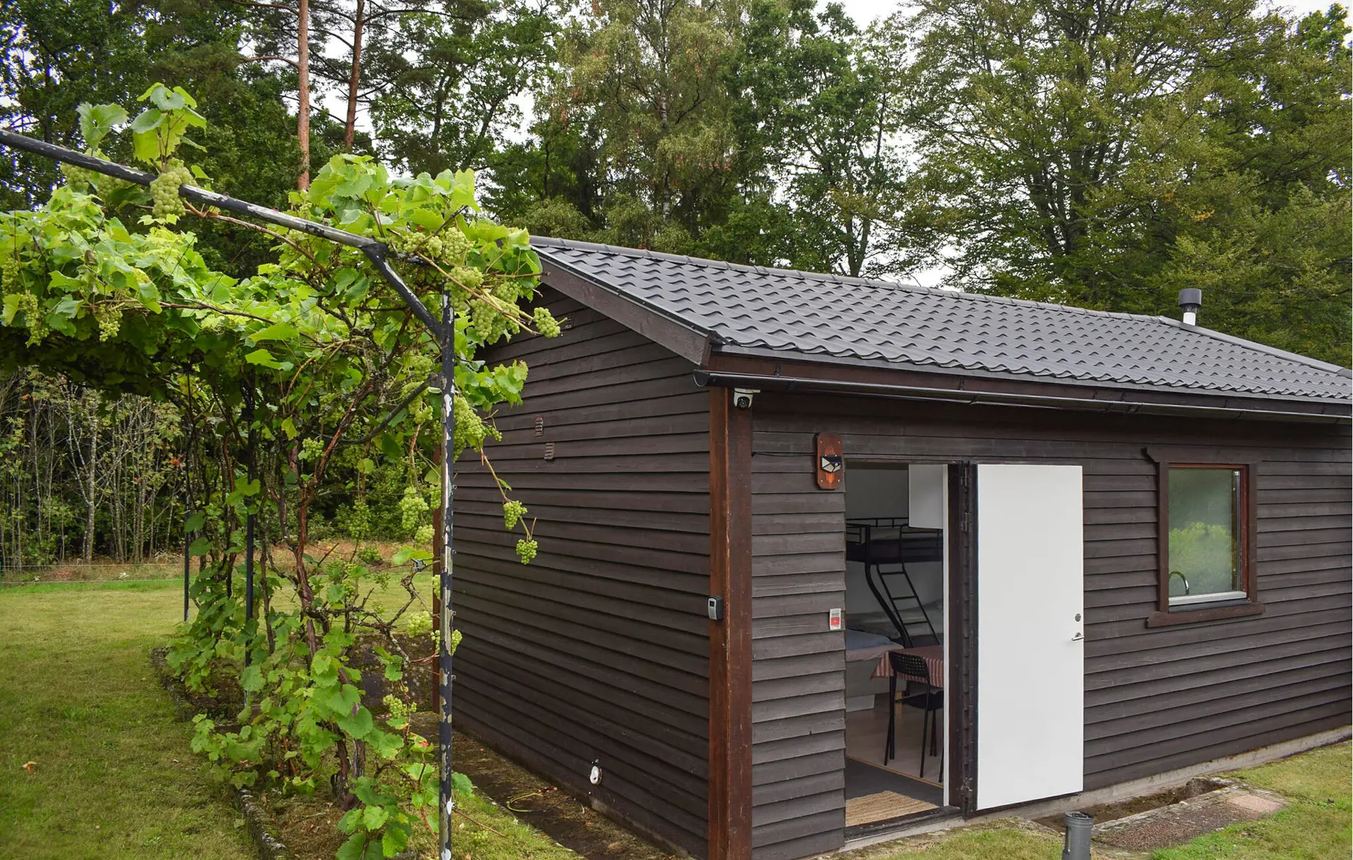 Ferienhaus S14242 in Södra Rörum 4809, Hörby | Bild 2 von 10
