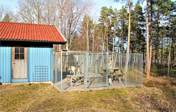 Bild 9 von 18