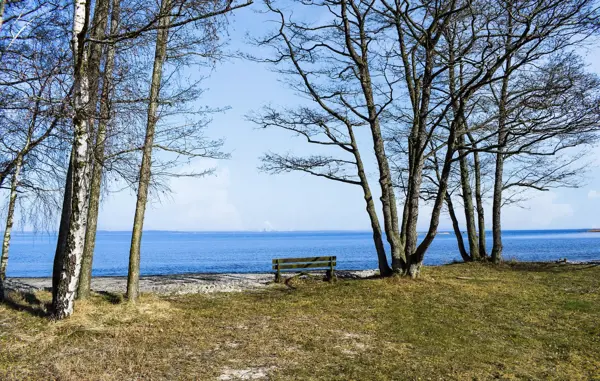 Bild 20 von 20