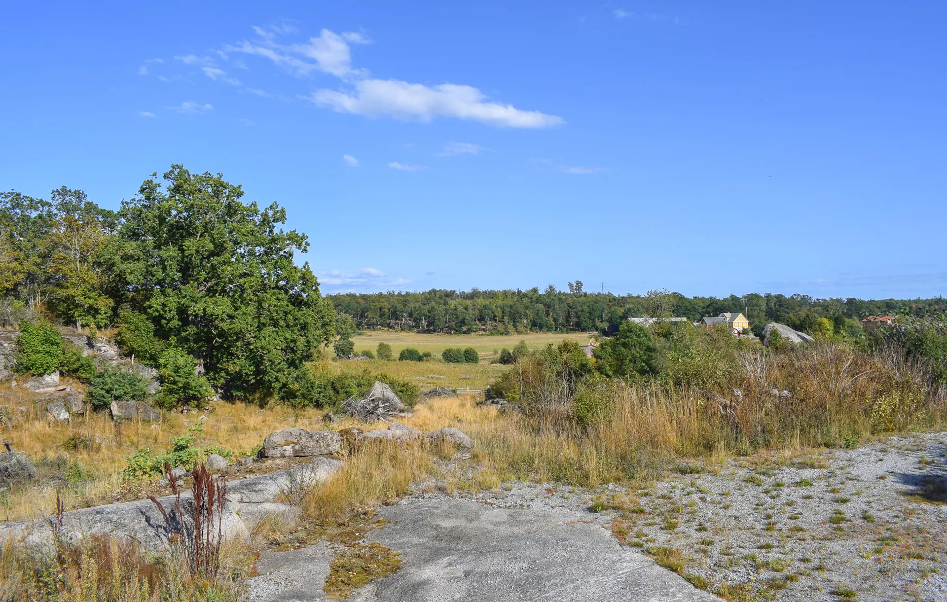 Bild 9 von 19