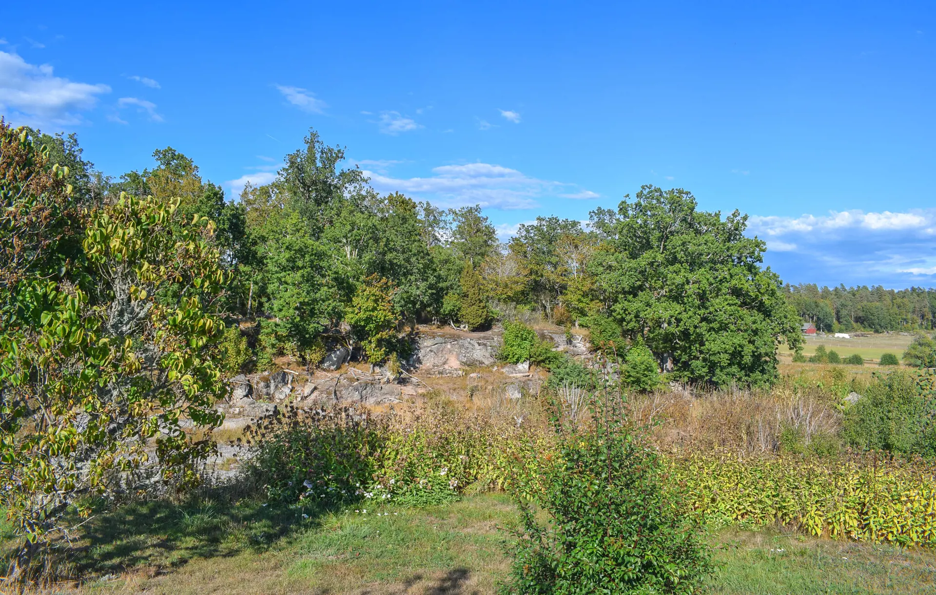 Bild 13 von 19