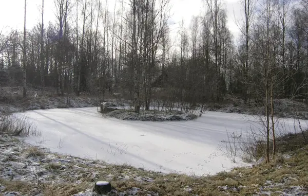 Bild 5 von 15