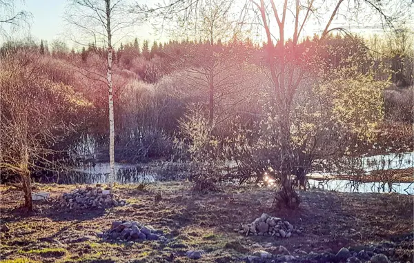Bild 9 von 17