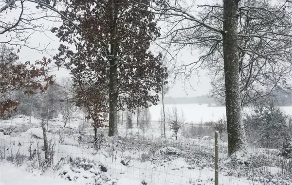 Bild 21 von 50