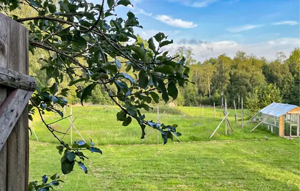 Bild 18 von 18