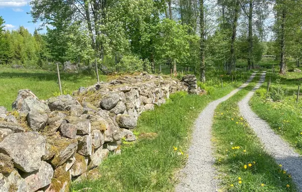 Bild 44 von 45