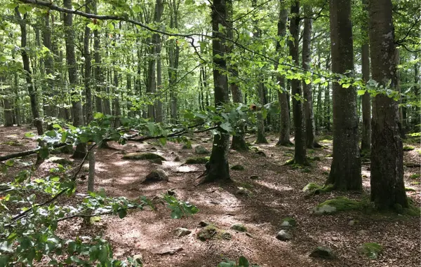 Bild 6 von 11