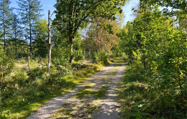 Bild 15 von 29