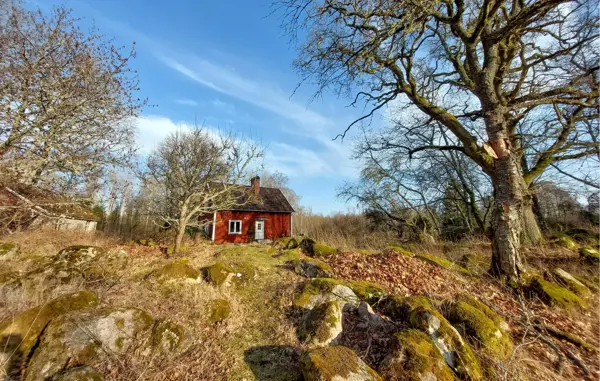 Bild 6 von 13