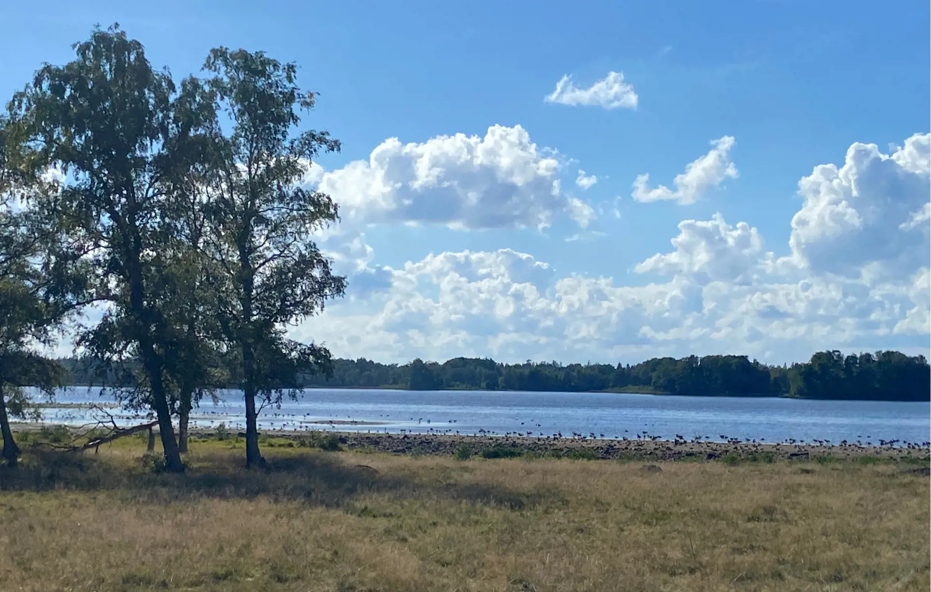 Bild 26 von 26