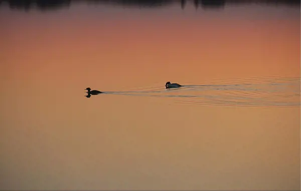 Bild 28 von 28