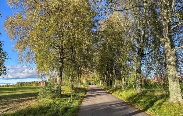 Bild 53 von 54