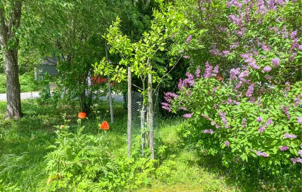 Bild 10 von 19