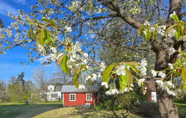 Ferienwohnung S30511 in Sävsjö / Jönköpings län
