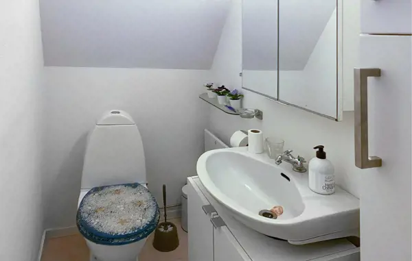 Bild 12 von 12