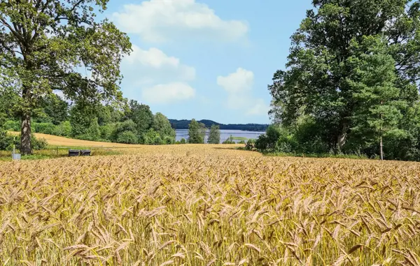 Bild 2 von 14
