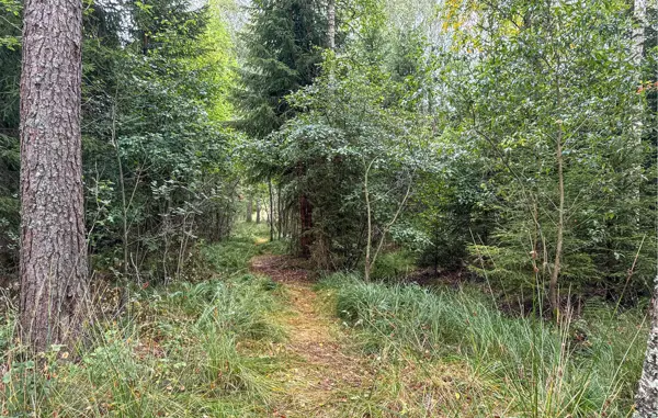 Bild 37 von 37