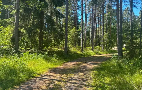 Bild 12 von 31