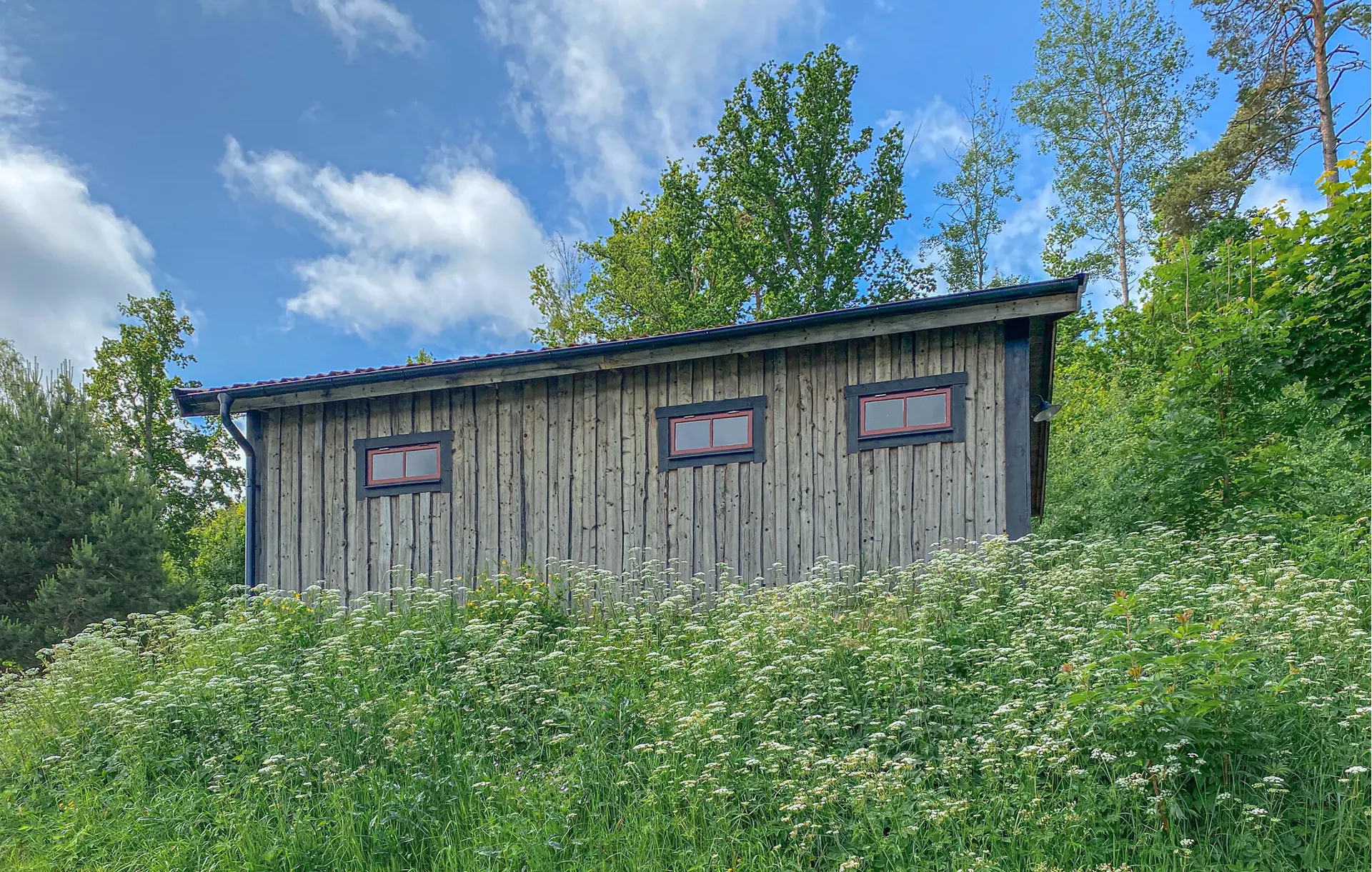 Bild 12 von 19