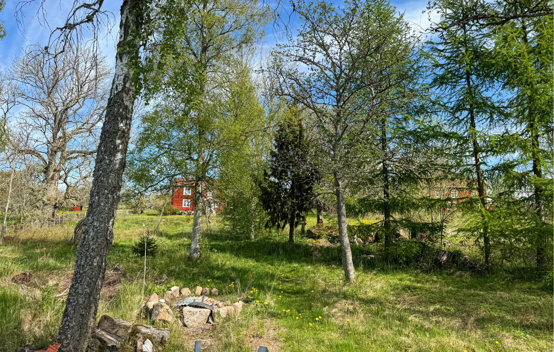 Bild 12 von 25