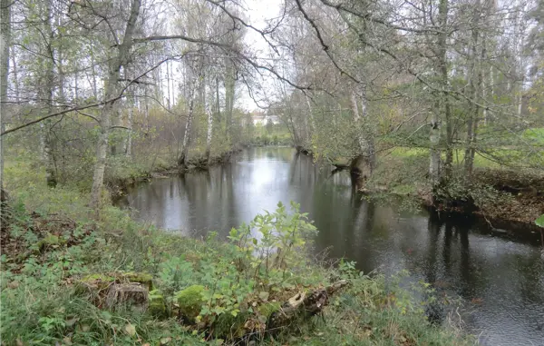 Bild 2 von 11