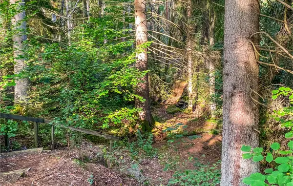 Bild 6 von 14