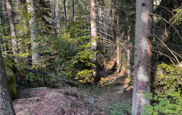 Bild 6 von 14