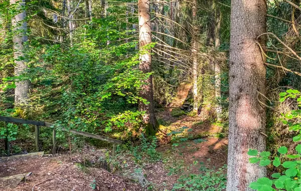 Bild 6 von 15