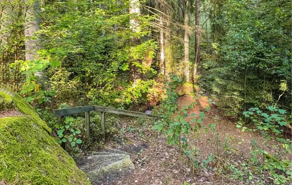 Bild 14 von 15