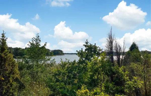 Bild 37 von 38