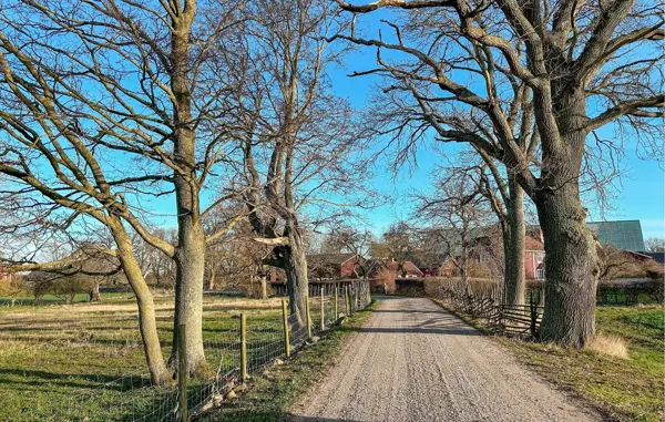 Bild 4 von 12