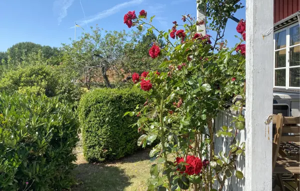 Bild 2 von 22