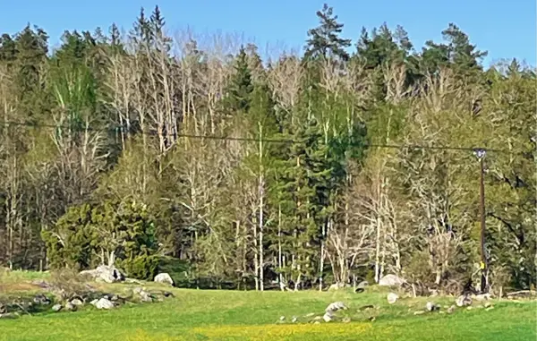 Bild 21 von 22
