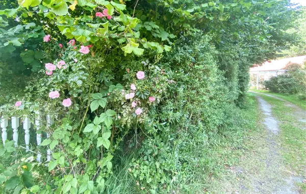 Bild 9 von 23