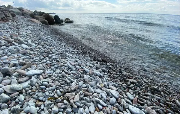 Bild 31 von 32