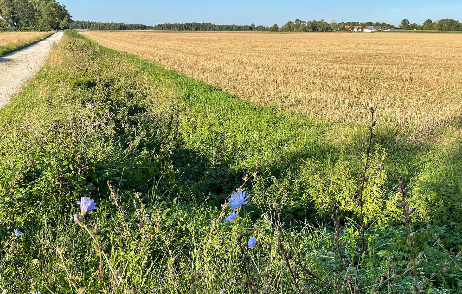 Bild 19 von 19