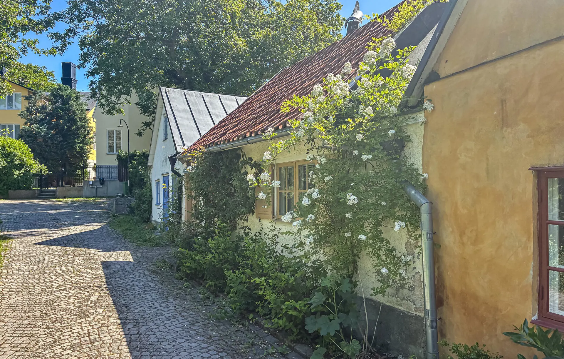 Bild 8 von 13