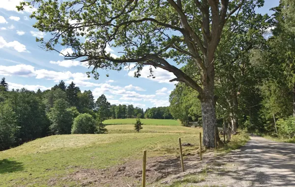 Bild 5 von 13