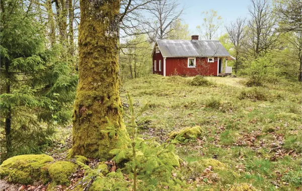 Ferienhaus S50276 in Tranemo / Västergötland
