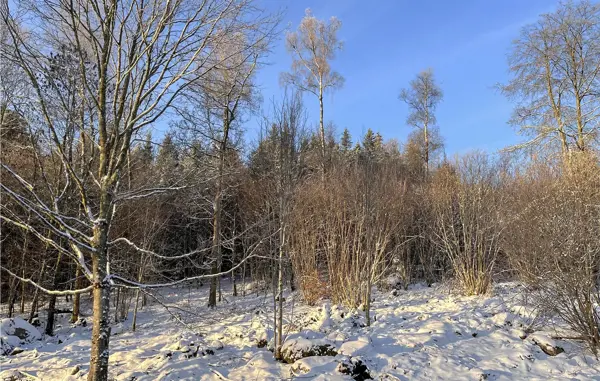 Bild 30 von 34