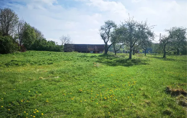 Bild 17 von 36