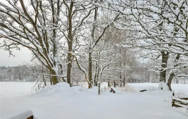 Bild 7 von 10