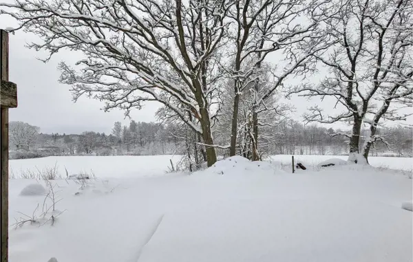 Bild 6 von 10