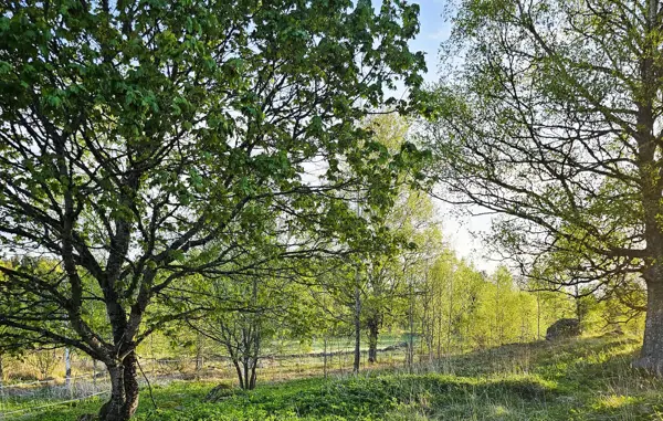 Bild 19 von 22