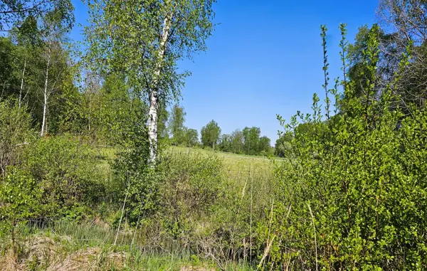 Bild 20 von 22