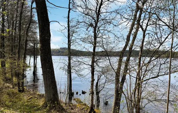 Bild 7 von 13