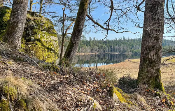 Bild 25 von 25