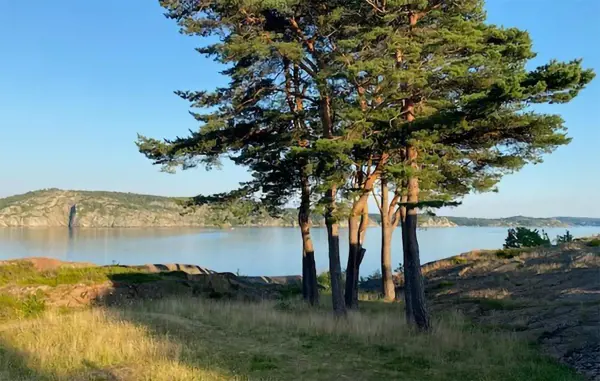Ferienhaus S50668 in Lysekil / Bohuslän Bild: 3
