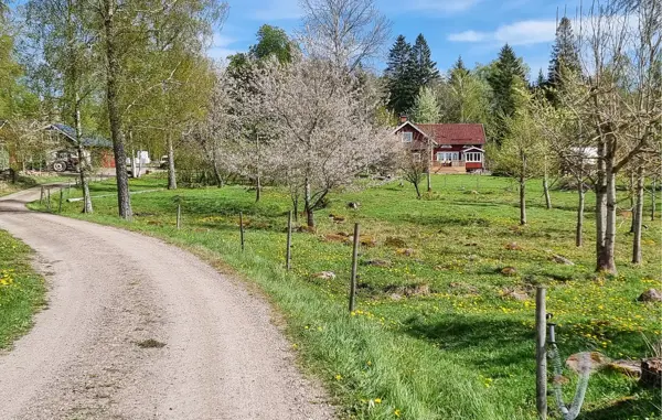 Bild 4 von 25